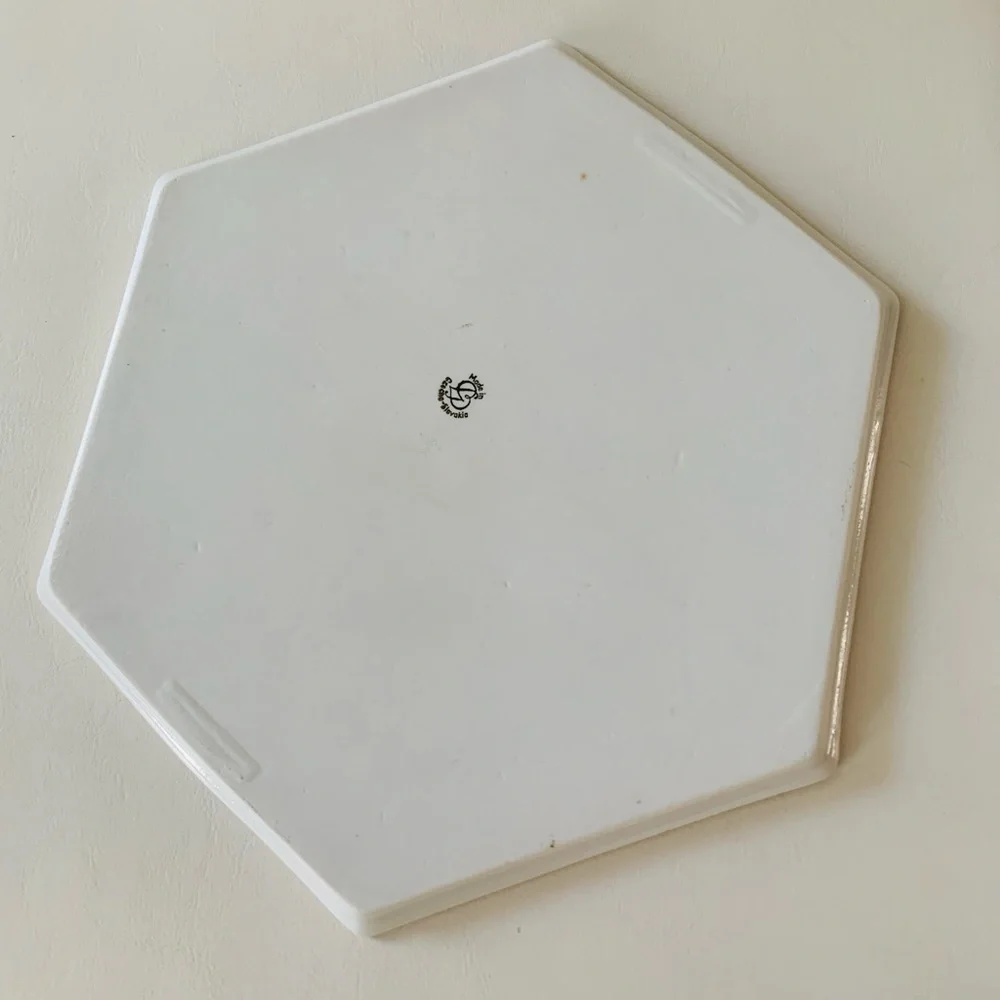 Vintage Czechoslovakia Hexagonal Lunch Dinner Tray 10 Inch
